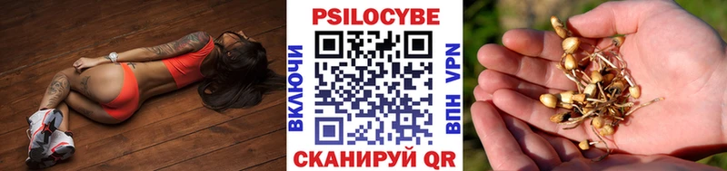 мега рабочий сайт  Курган  Галлюциногенные грибы мухоморы 